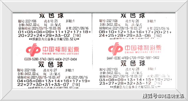 2013年双色球2003期开奖结果揭晓，幸运的数字与梦想的碰撞