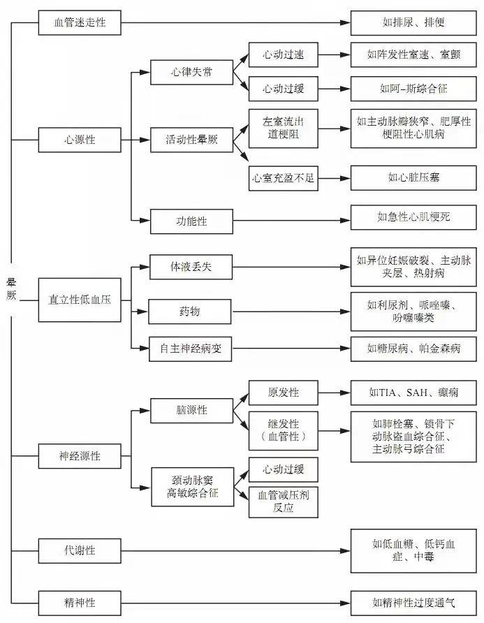 探索大乐透5000期走势图，揭秘数字背后的秘密