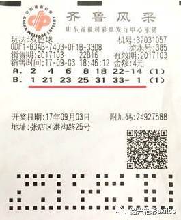 双色球彩票开奖查询，揭秘背后的概率与乐趣