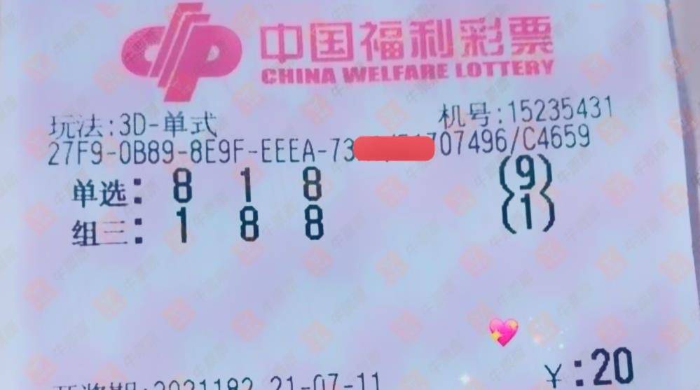 福彩3D彩宝贝，小投入大梦想的幸运之门