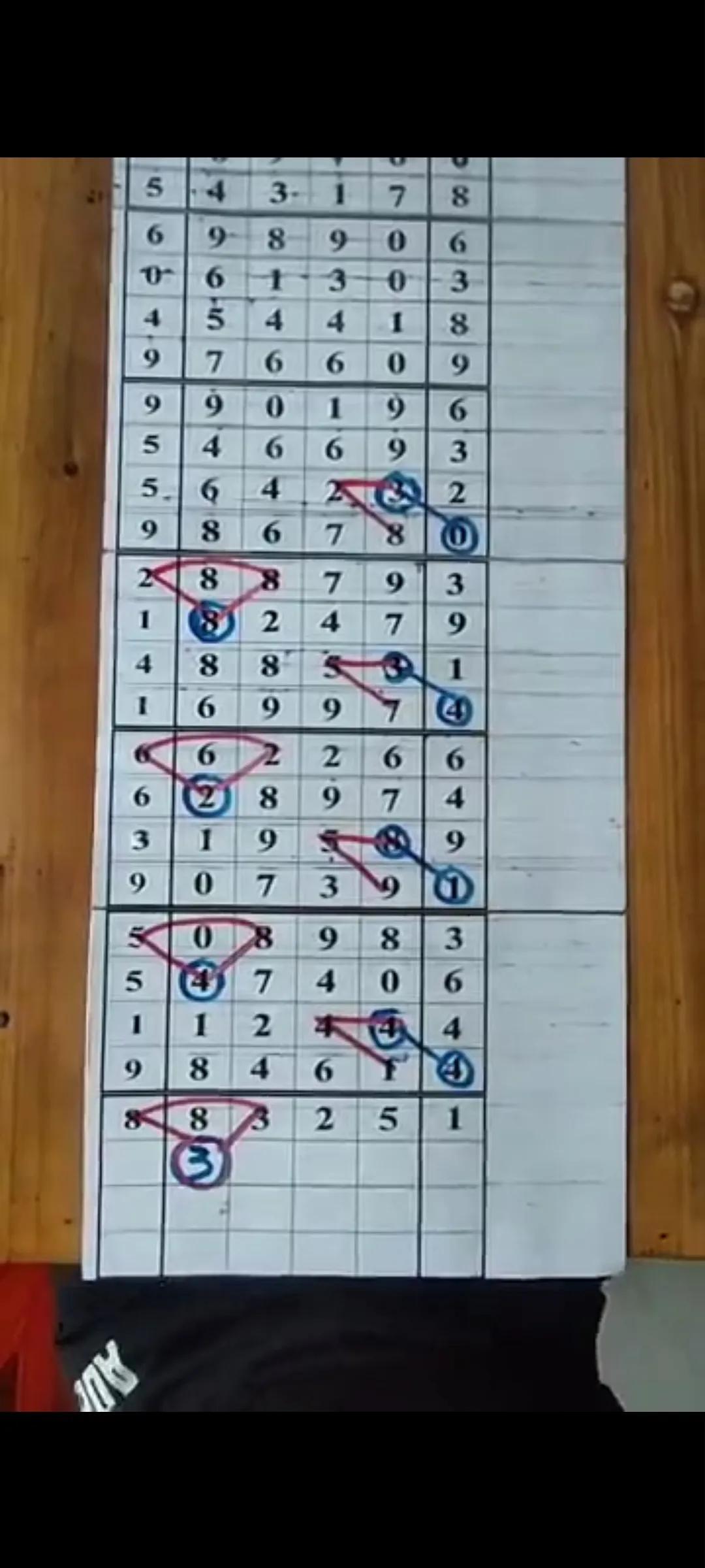 南方排列五走势图，专业连线下的精准预测