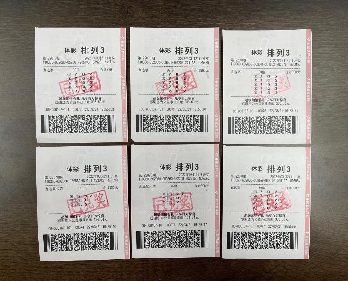 探索2023年49图库大全，免费资料图与数字娱乐的未来