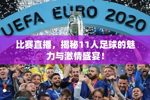 足球激情，在线直播，免费观看的魅力与挑战