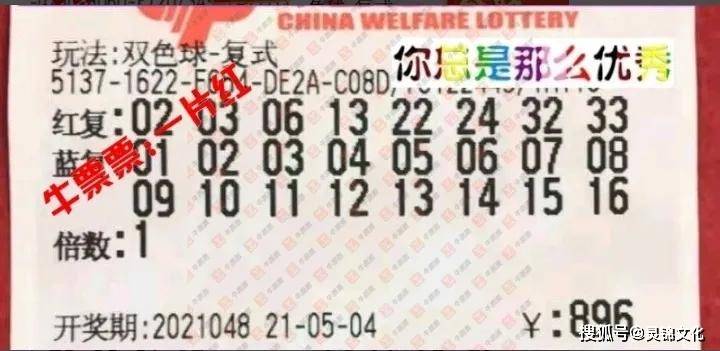 揭秘双色球开奖号码的奥秘，从随机到公平的奇妙旅程
