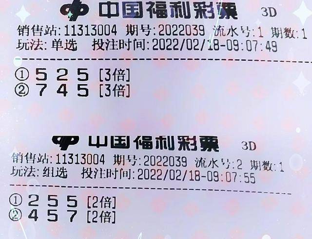 福利彩票2元能中多少，揭秘小投入大梦想的奇妙之旅