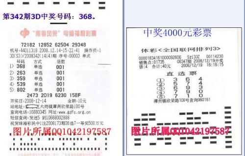 揭秘3D万能三码天天中奖技巧，理性与智慧的结合
