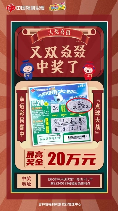 彩票网500，探索数字背后的幸运与梦想