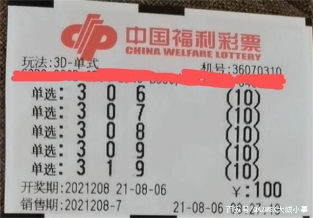 最新中国体彩开奖结果揭晓，梦想与幸运的碰撞