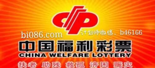 探索中国福利彩票2024119期的神秘与希望