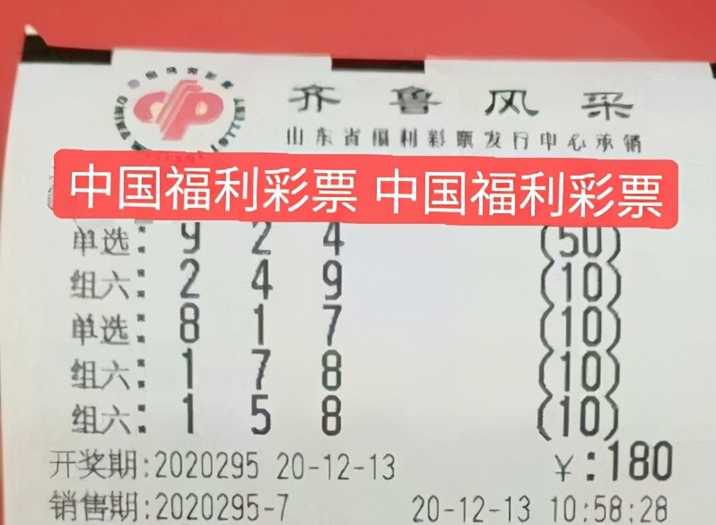 数字背后的奥秘与期待