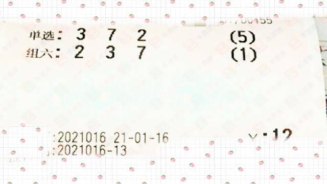 彩票开奖公布，理性与幸运的交汇点