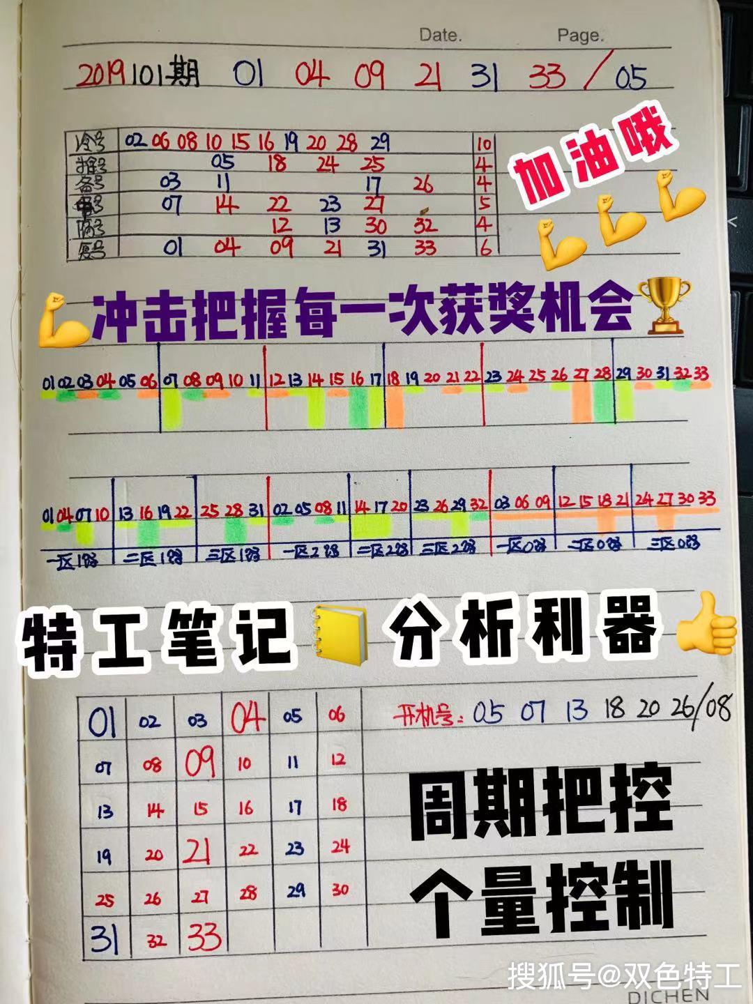 2019年双色球全年开奖记录，数字背后的幸运与希望