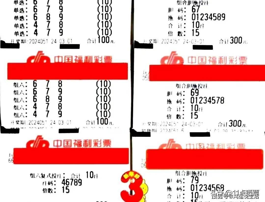 3D彩票，从500期到1000期的走势探索与策略分析