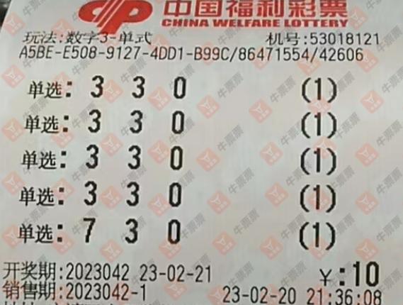 今日一注，3D单挑100倍，梦想与现实的交织