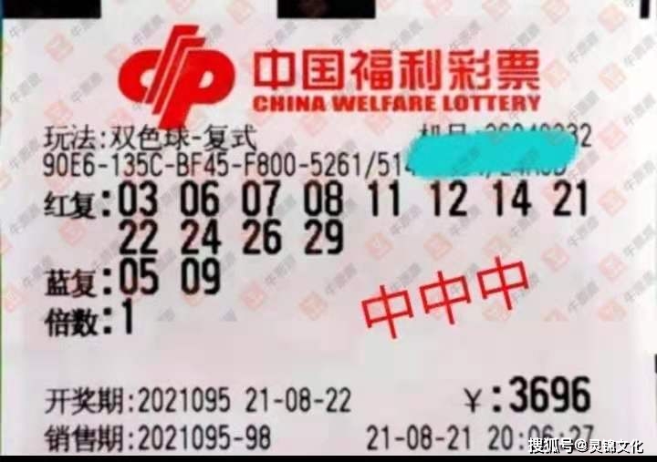 探索双色球奥秘，浙江风采网上的开奖号码走势图解析