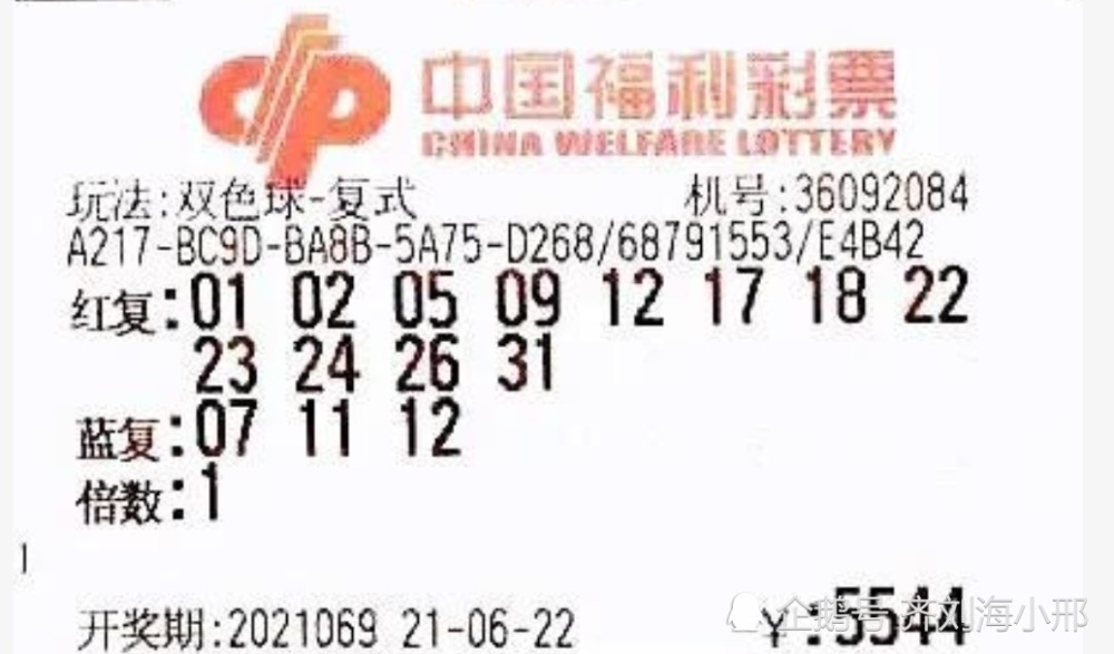 2016年双色球2016031期开奖结果揭晓，幸运与希望的碰撞