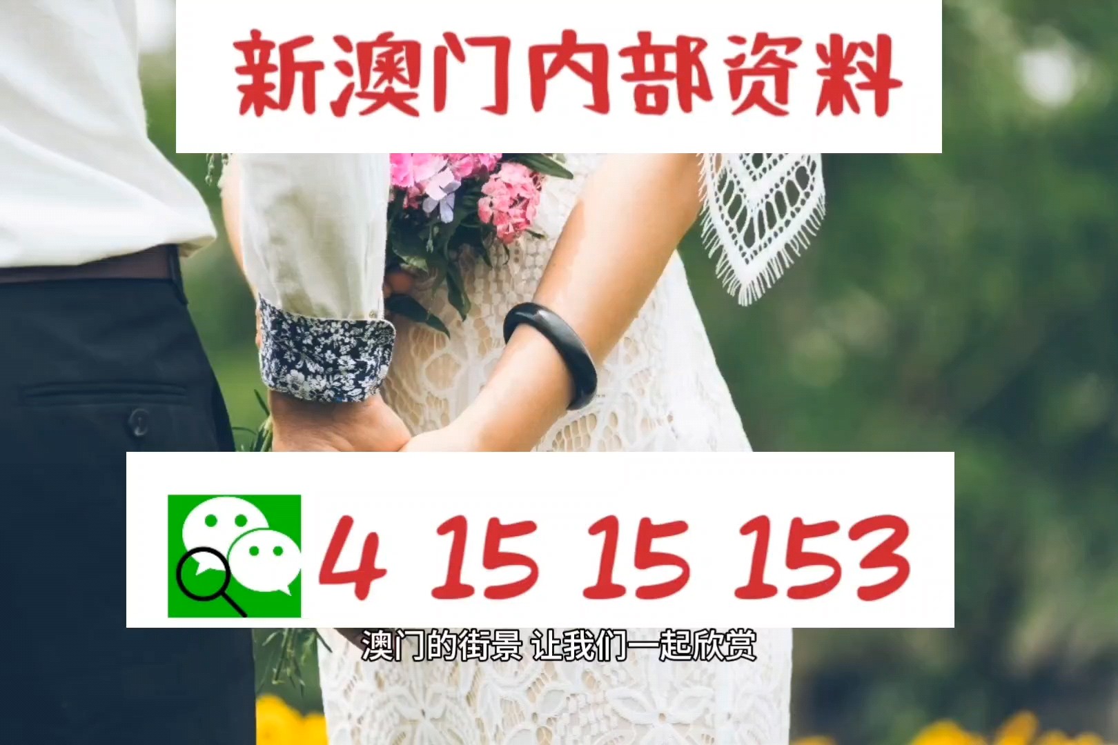 免费公开，新澳2024正版资料全解析