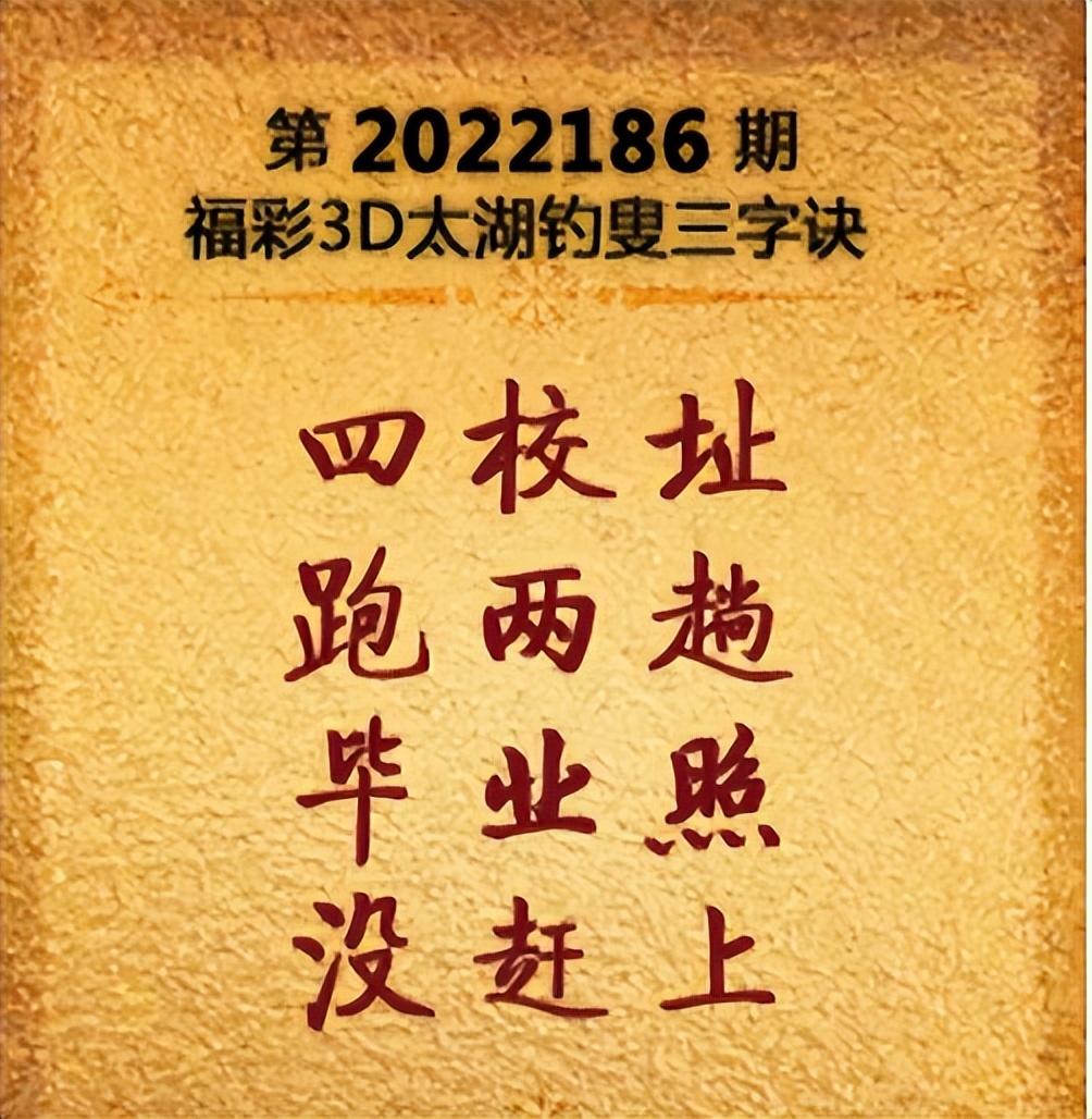 福彩3D字谜，正版总汇的魅力与智慧