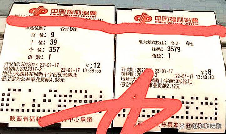探索3D彩票双胆选号的无错策略，三百期验证的稳定之道