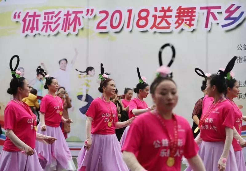 浙江体彩20选5，数字游戏中的公益与梦想