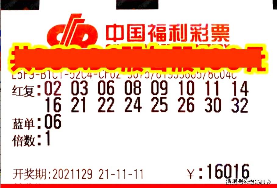 浙江20选5，数字背后的幸运与期待