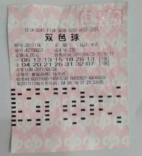 双色球2019029期，揭秘中奖背后的数字魔法与彩民心声