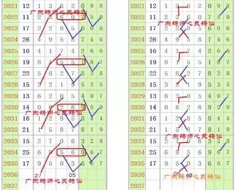 海南梦册解码七星彩，揭秘数字背后的幸运密码