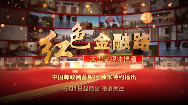 2021年香港开奖结果查询历史，回顾与展望