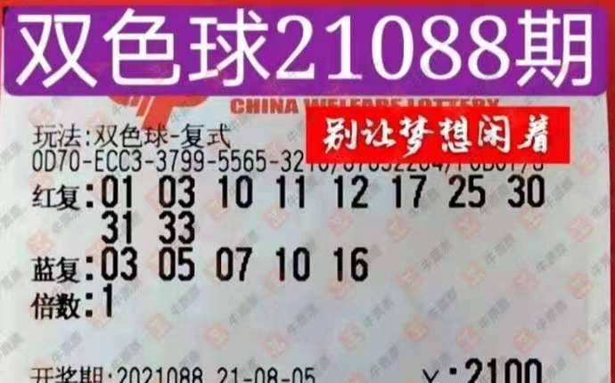 2025年6月21日 第5页