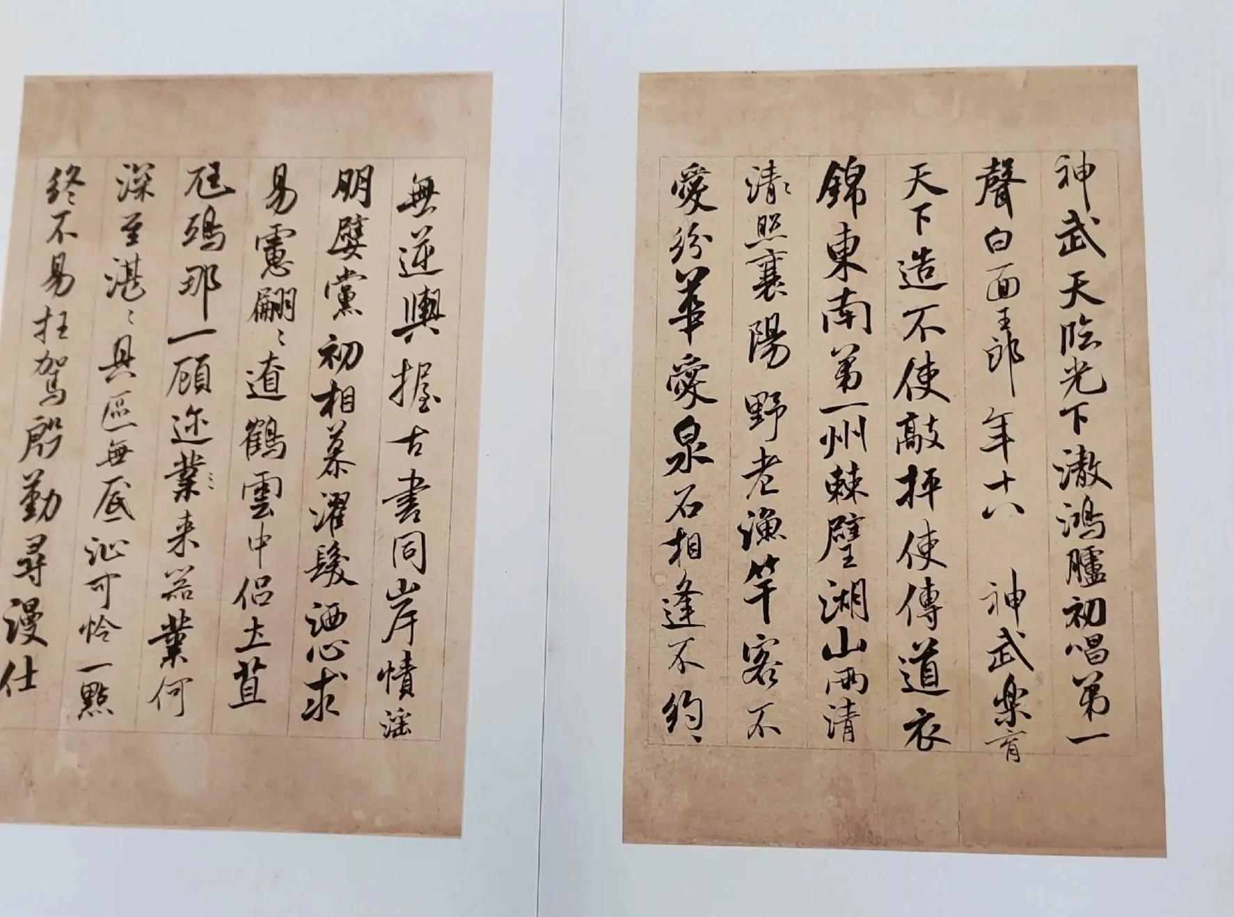河北十一选五，今日开奖的数字盛宴与彩民期待