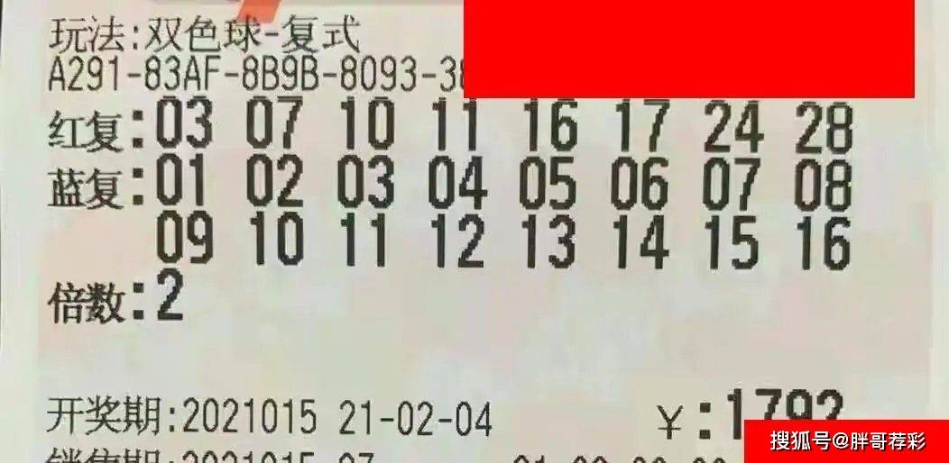 福利彩票双色球2024004期，梦想与现实的交汇