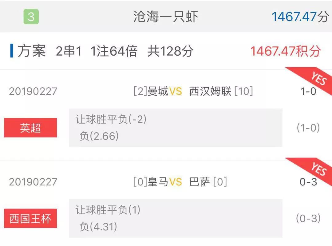 体育彩票足球竞猜网，梦想与现实的交汇点