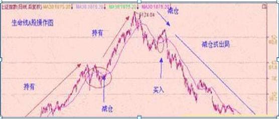 探索双色球2005浙江超长版走势图，揭秘数字背后的奥秘