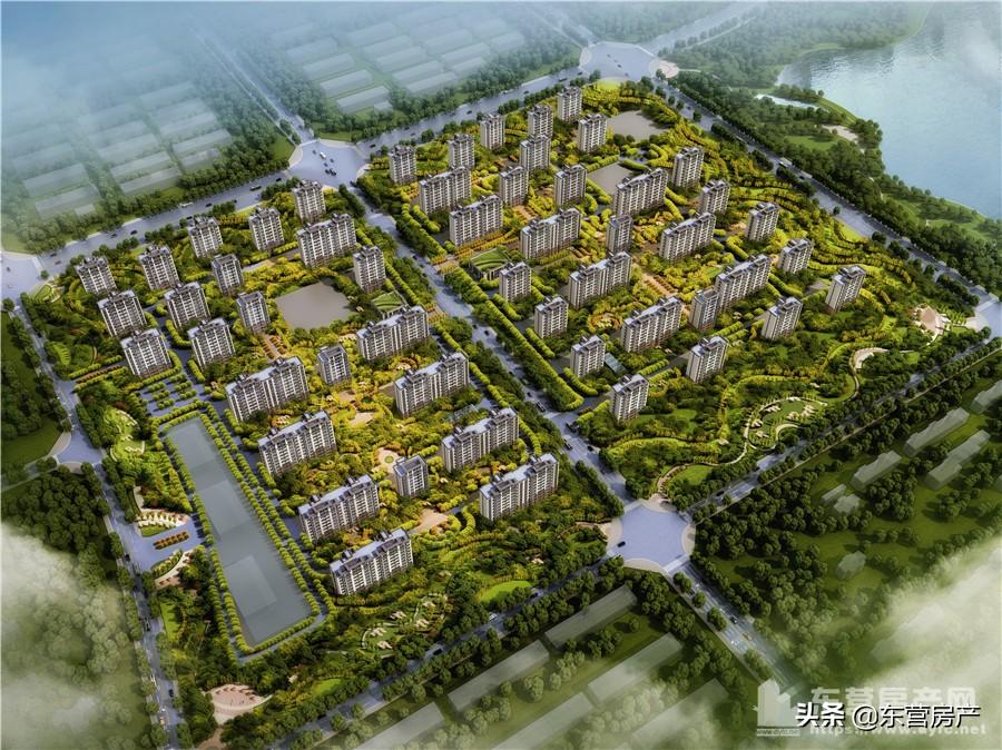 2020年双色球2020033期开奖揭晓，幸运数字背后的故事与期待