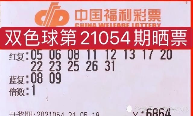 号码双色球，梦想与现实的碰撞