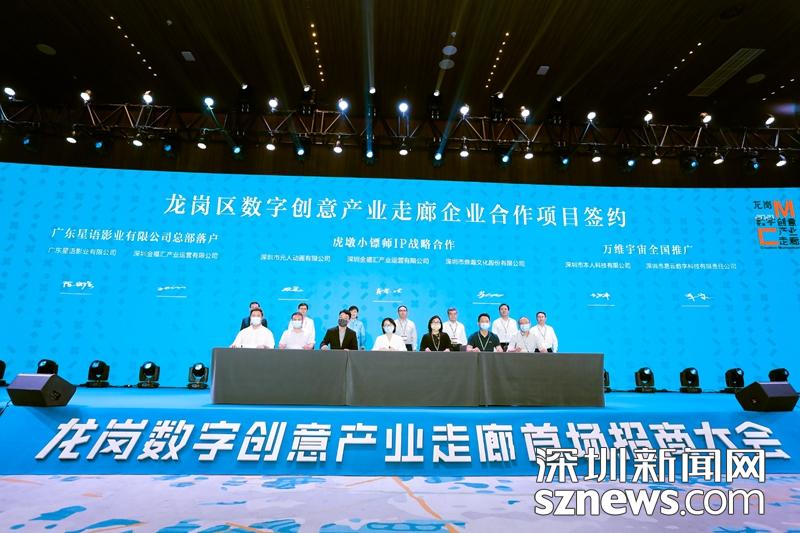 福彩3D，揭秘开机号、试机号与金码的奥秘